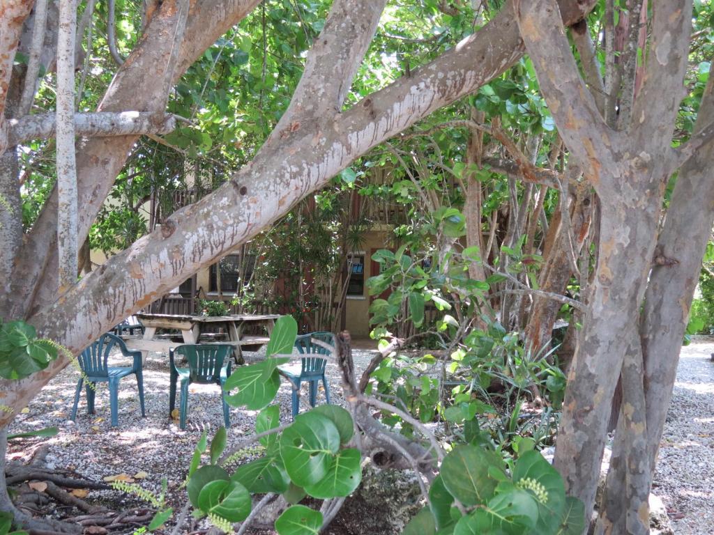 Ed & Ellen'S Lodgings Key Largo Motel Exterior foto