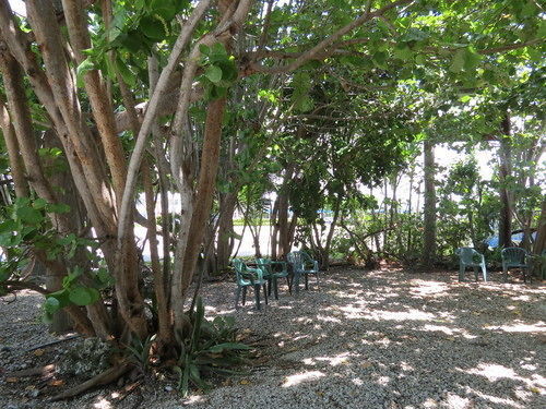 Ed & Ellen'S Lodgings Key Largo Motel Exterior foto