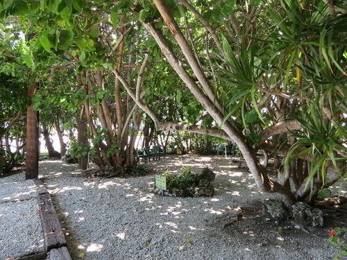 Ed & Ellen'S Lodgings Key Largo Motel Exterior foto