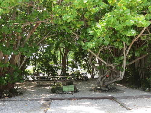 Ed & Ellen'S Lodgings Key Largo Motel Exterior foto